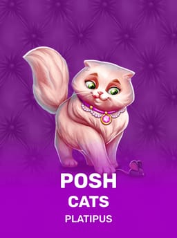 Posh Cats - Platipus
