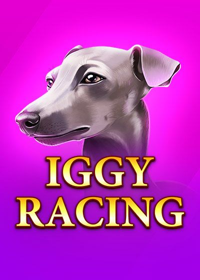 Iggy Racing - onlyplay